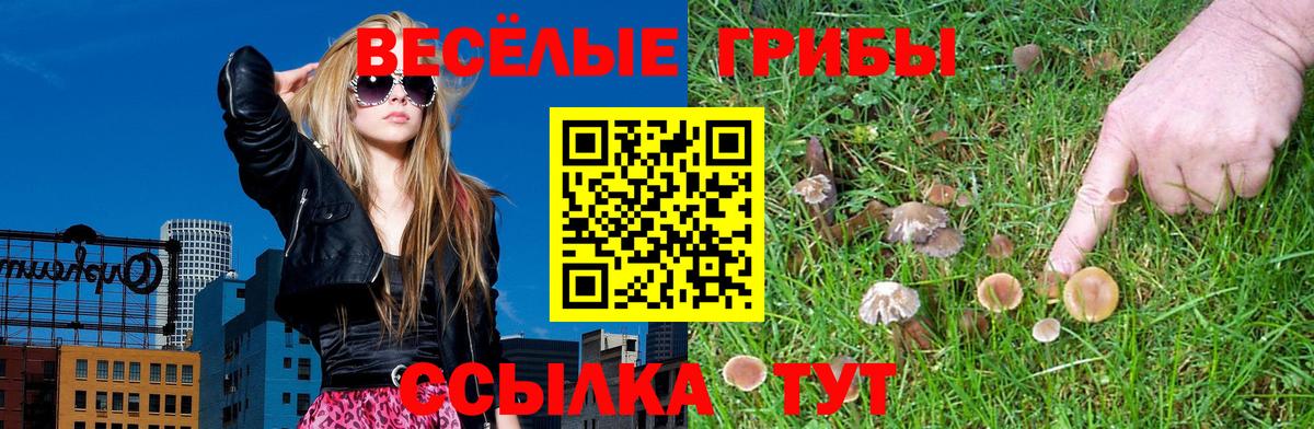 Белебей  Псилоцибиновые грибы Magic Shrooms  Вход с VPN  Галлюциногенные грибы Psilocybine cubensis 