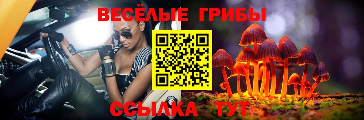 Галлюциногенные грибы мицелий Белебей